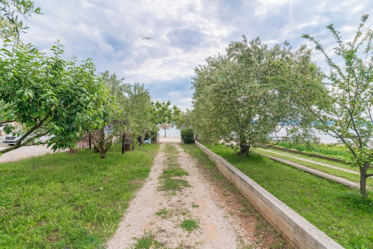 Apartments Bepina Biograd Na Moru Exteriér fotografie